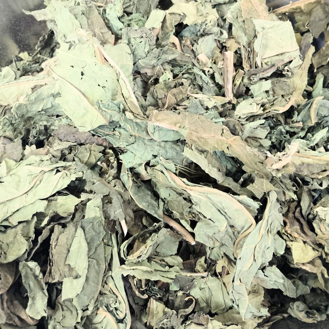 Papaya Leaves Tea - 28 x Strong Plastic Free Tea Bags