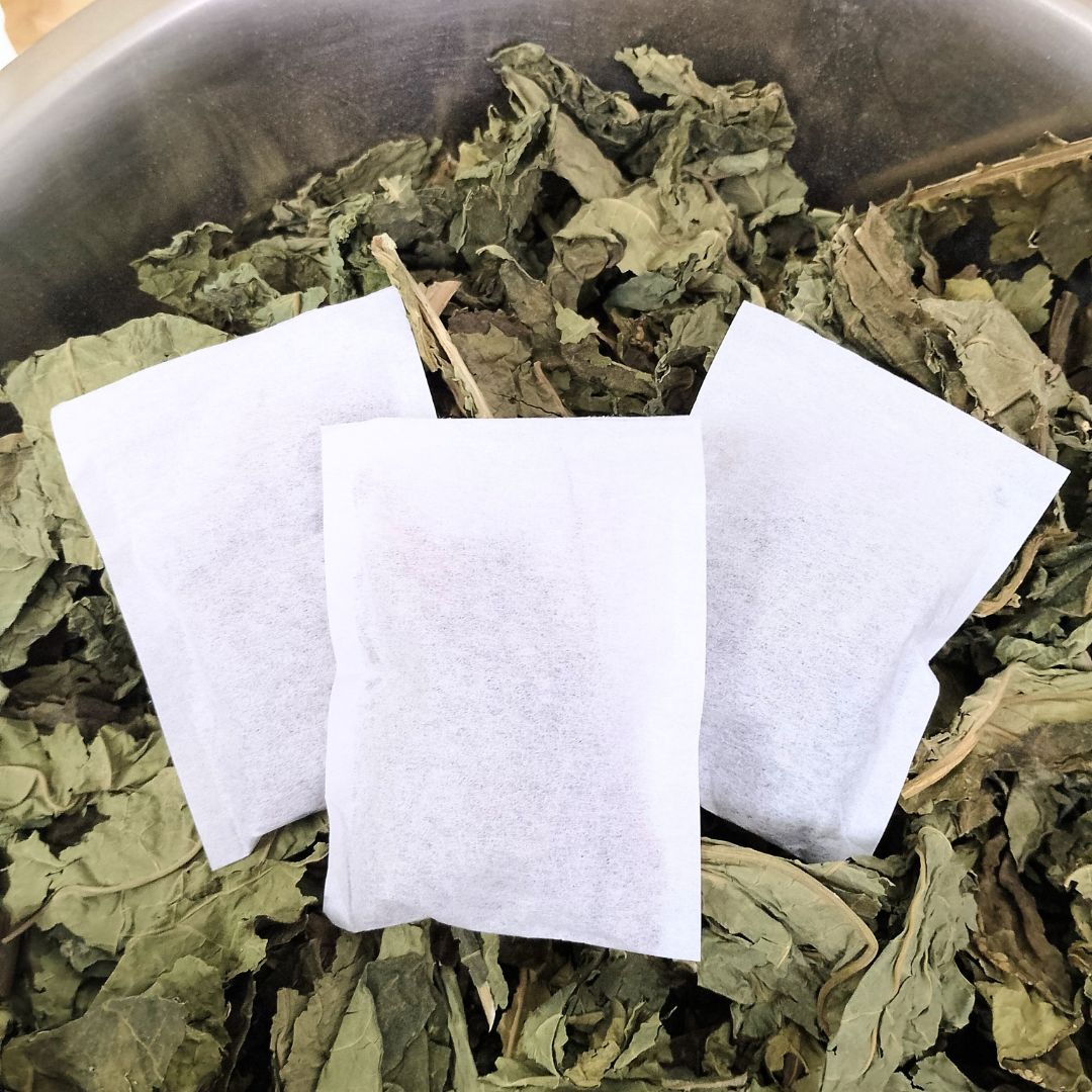 Papaya Leaves Tea - 28 x Strong Plastic Free Tea Bags